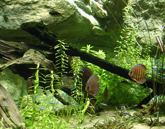 L’assemblaggio delle lastre 1457 0 L assemblaggio delle lastre